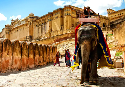 Golden Triangle Tour with Ranthambore Wildlife Safari