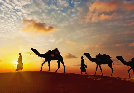 Delhi to Rajasthan Camel Safari Adventure