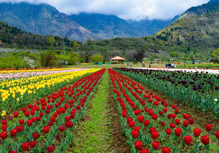 Jammu to Srinagar Valley of Roses Tour